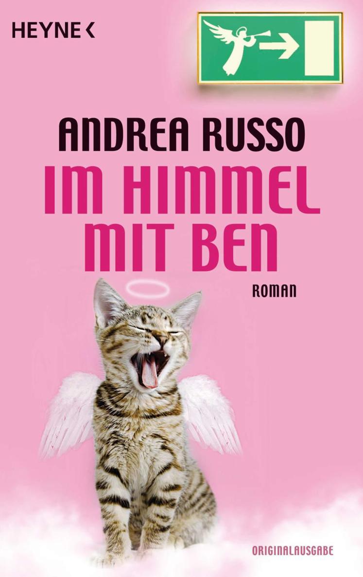 Im Himmel mit Ben: Roman