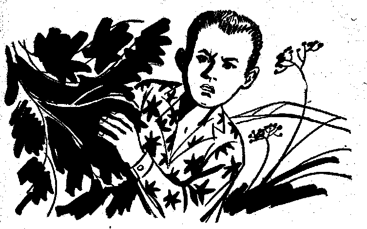 img32.png