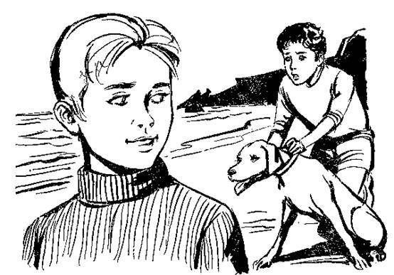 img35.jpg