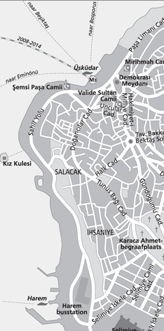 image-1.jpg