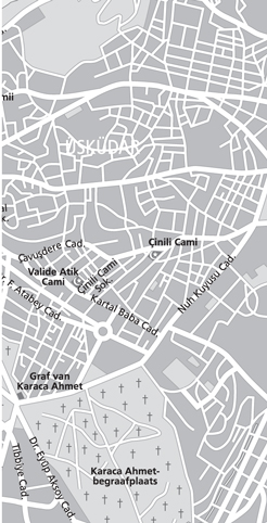 image-2.jpg