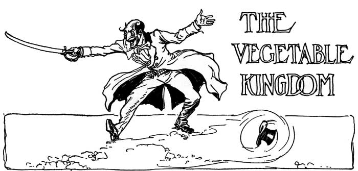 Image i057.jpg: THE VEGETABLE KINGDOM