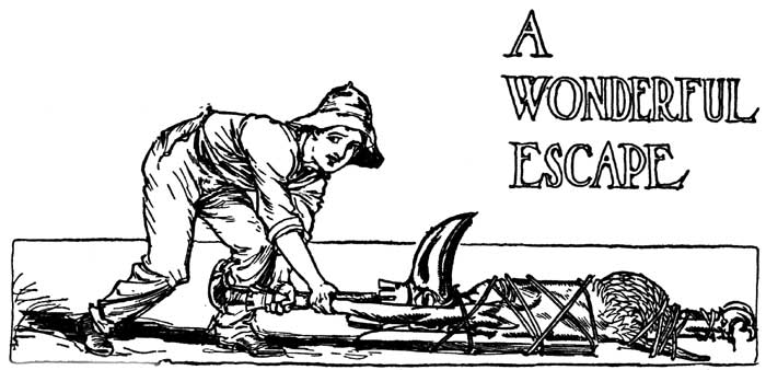 Image i144.jpg: A WONDERFUL ESCAPE