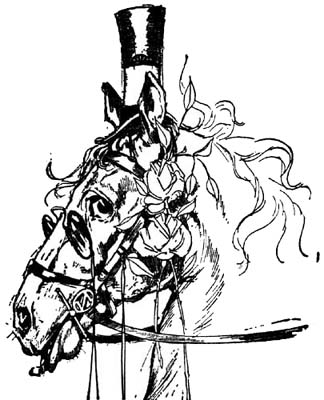 Image i216.jpg: the Gump's Head Illustration