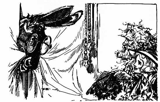 Image i081.jpg (No Description)