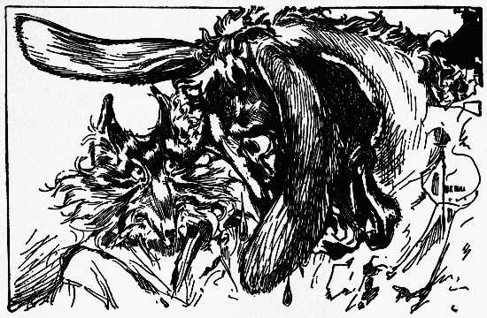 Image i086.jpg (No Description)