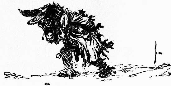 Image i090.jpg (No Description)