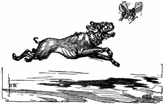 Image i101.jpg (No Description)