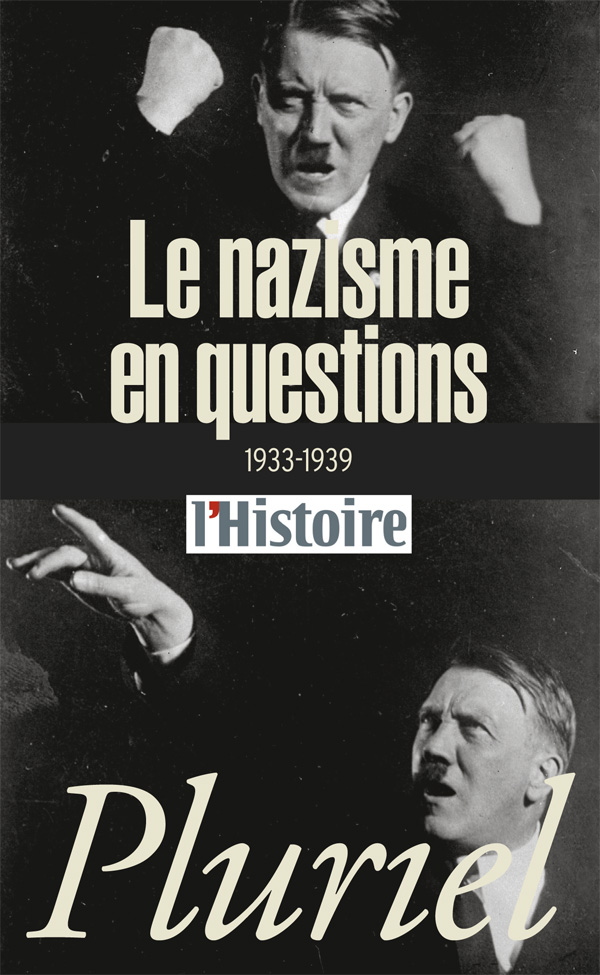 Le nazisme en questions