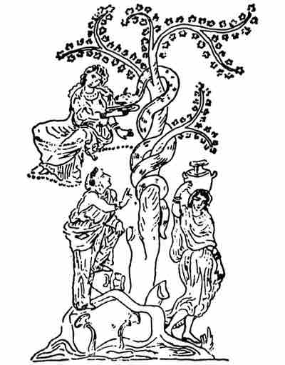 MG3-00009-tree-of-the-hesperides