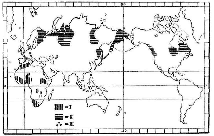 MG1-000XX-bear-cult-map