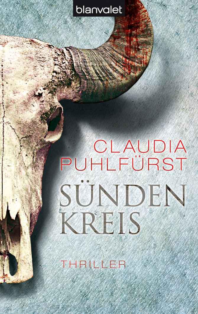 Sündenkreis: Thriller