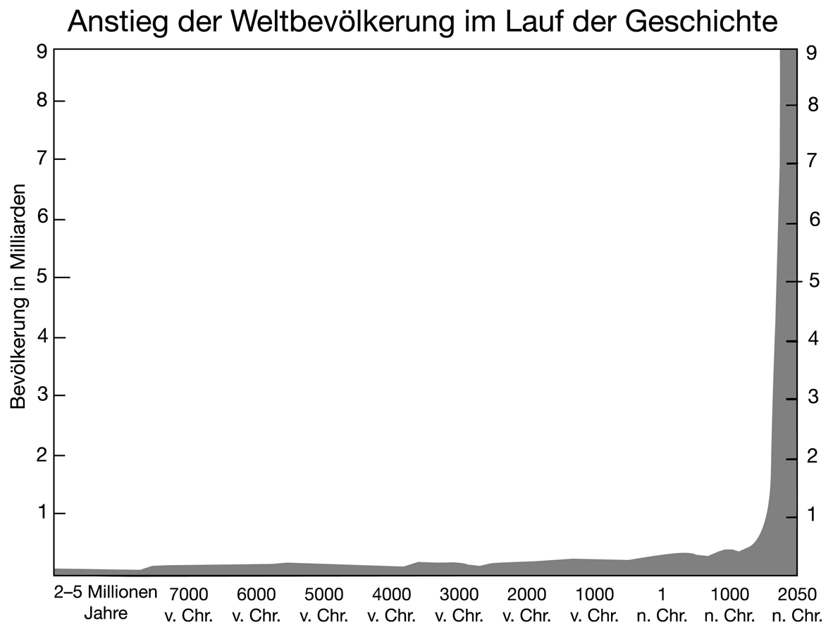 Grafik