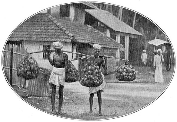 Kooplui in kokosnotenschalen