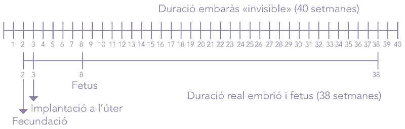 008.jpg