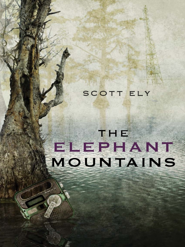The Elephant Mountains