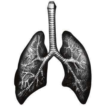 ODDECH UTRZYMUJE CIĘ PRZY ŻYCIU