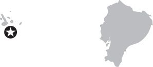 image with no caption