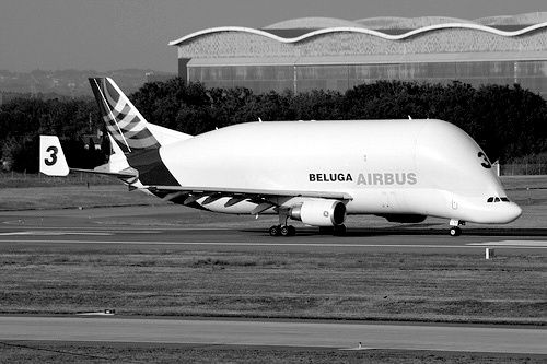 Ein Airbus Beluga am Flughafen Toulouse; zur Verfügung gestellt von DigitalAirlines.com