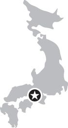 image with no caption