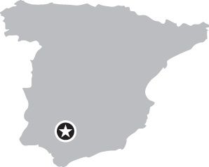 image with no caption