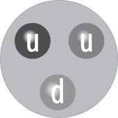 Ein Proton besteht aus zwei Up-Quarks und einem Down-Quark