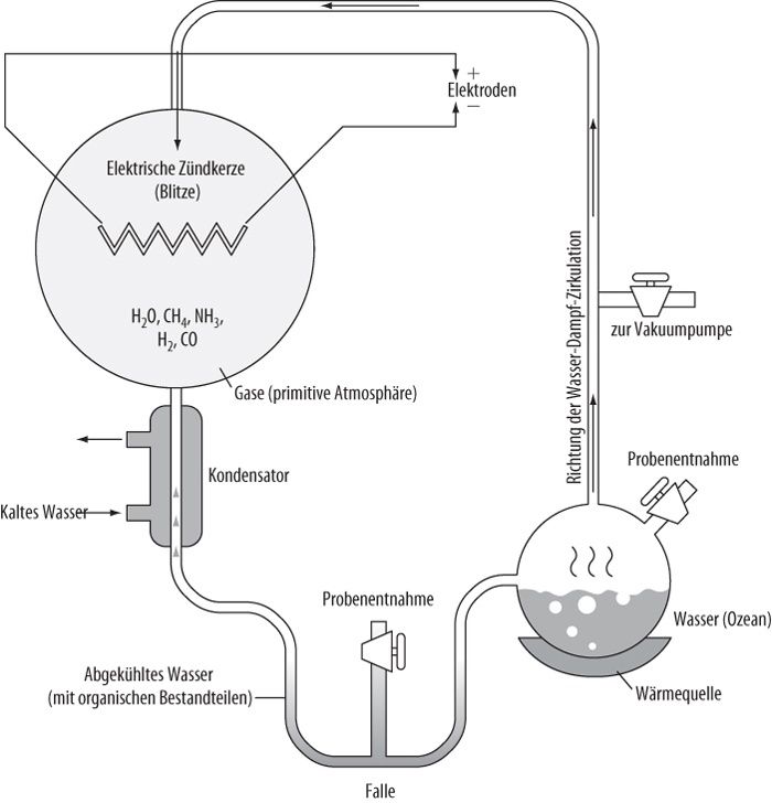 Das Miller-Urey-Experiment