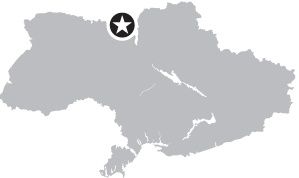 image with no caption