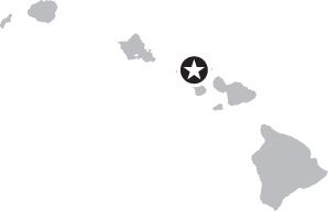 image with no caption