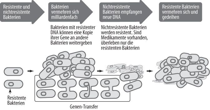 Resistenz durch Gentransfer