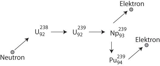 U-238 wird zu Pu-239