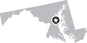 image with no caption