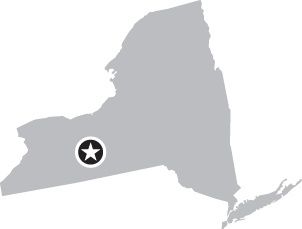 image with no caption