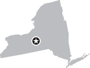 image with no caption