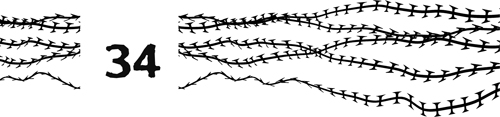 34