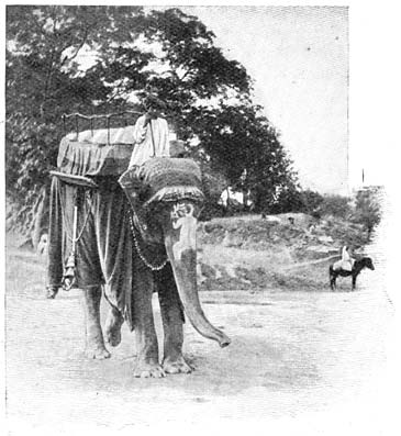 Toeristenolifant uit Djaïpoer.