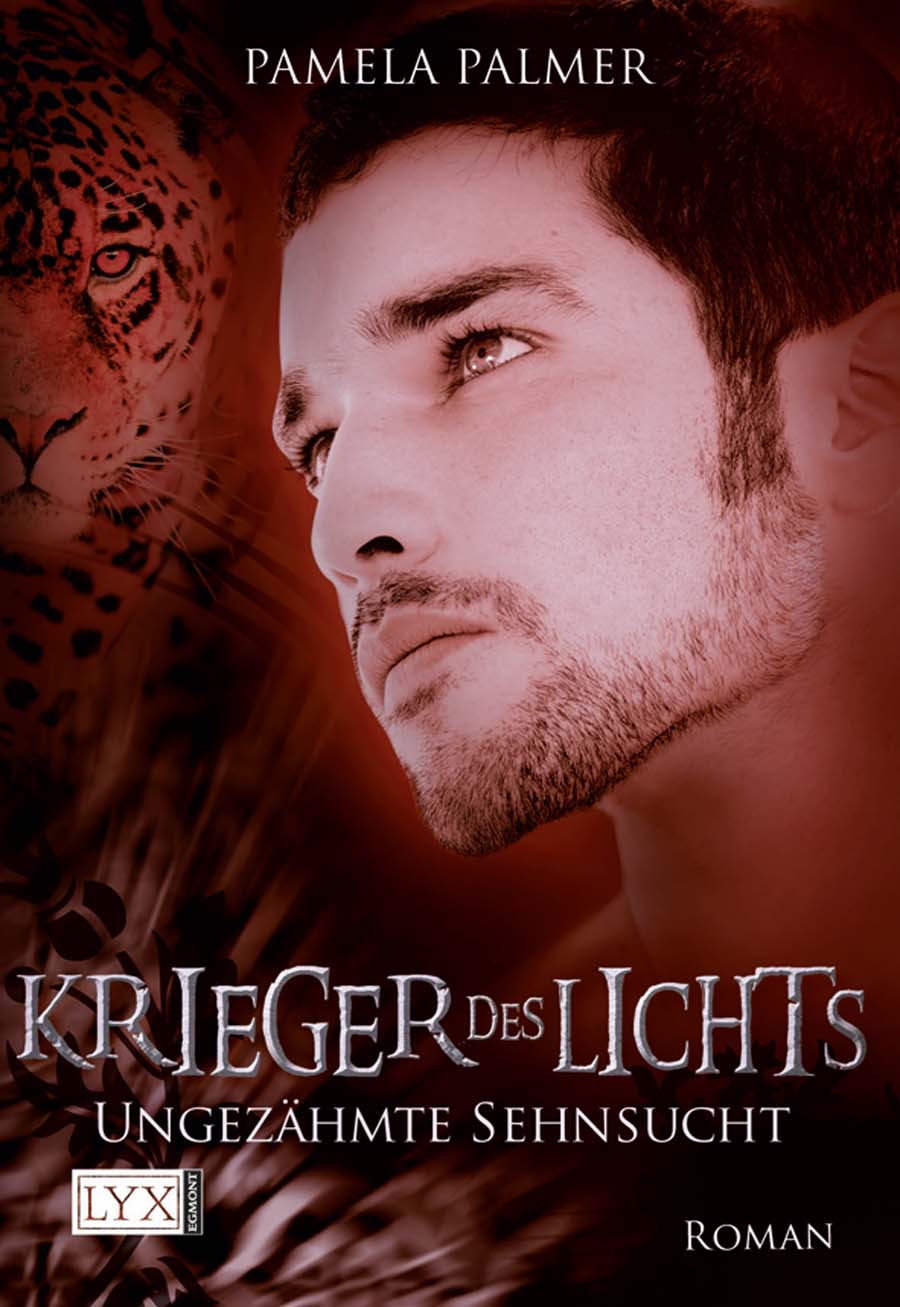 Krieger des Lichts - Palmer, P: Krieger des Lichts