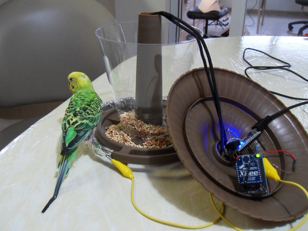 /epubstore/R/M-Riley/Programming-your-home//images/birdwithfeeder.jpg