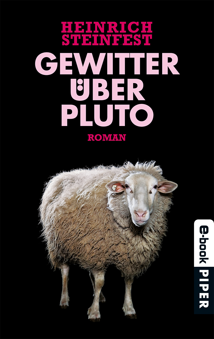 Gewitter über Pluto: Roman