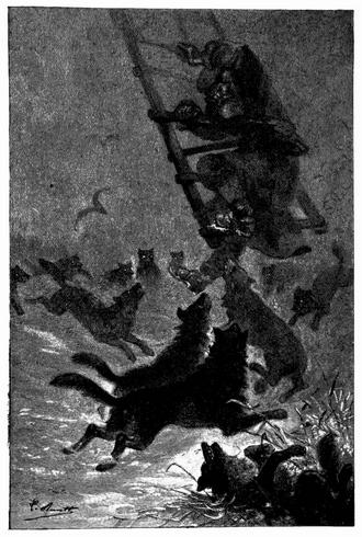 Die Leiter knarrte und krachte unter der Last des Mannes. (S. 16.)