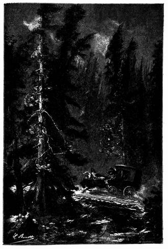 Der Weg zog sich am Saume großer Wälder hin. (S. 55.)