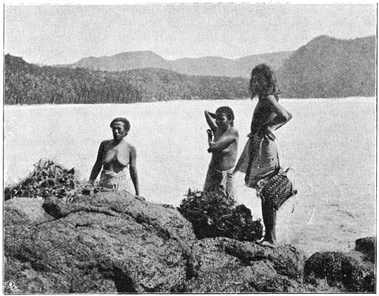 Visschende vrouwen aan de zuidkust van Oepoloe.