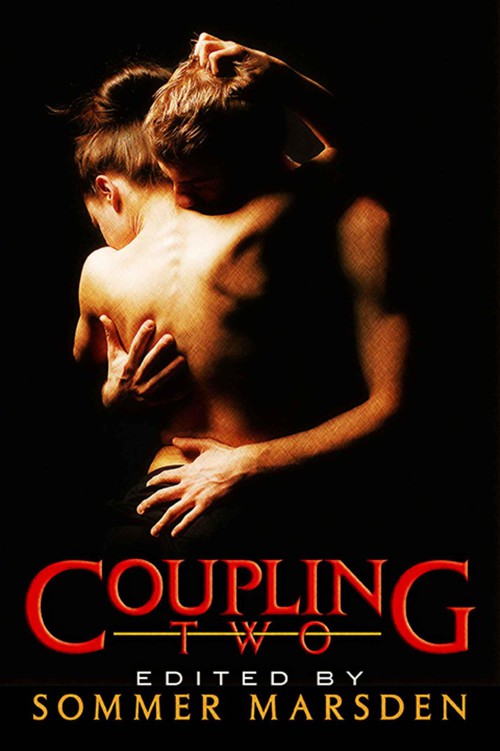 Coupling Two .More Filthy Erotica for Couples